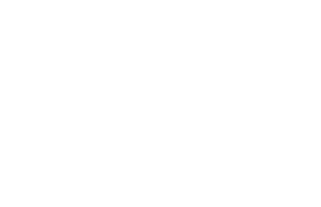 Sunshine Corporate Filings LLC